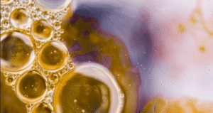 Master Kubota hydraulic fluid contamination